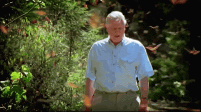 ​大卫·爱登堡爵士-BBC灵魂人物，值得世界尊敬一生的男人