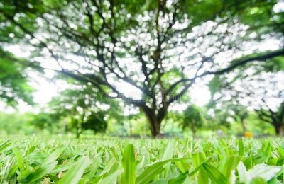 ​平凡的世界：孙少安为何没能跟润叶走到一起，这才是根本原因