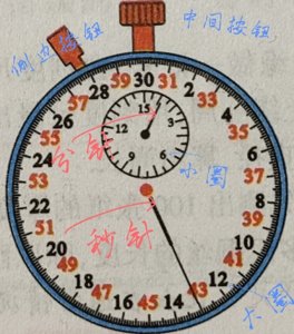 ​机械停表的使用