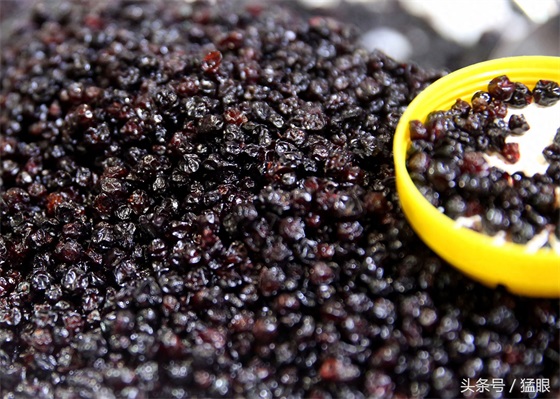 野生蓝莓干每斤50至60元不等,展销会小伙叫卖,顾客真假难辨