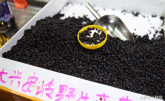 野生蓝莓干每斤50至60元不等,展销会小伙叫卖,顾客真假难辨