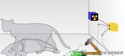 ​薛定谔的猫是什么意思通俗（深度长文：如何通俗理解“薛定谔的猫”？这只猫到