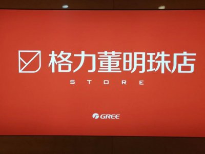 ​格力电器的投资者，始终不认可“银隆”