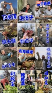 ​东北雨姐：赛博良药，专治焦虑