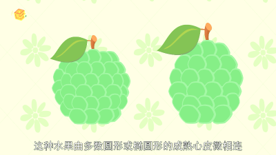 ​释迦属于什么水果「释迦水果是什么样的」