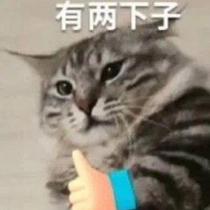 ​酷狗有点东西啊，谁告诉你AI是这么玩的？