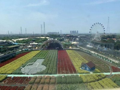 ​“新课标”语文高考必备词语（成语 2）