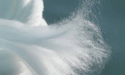 ​这些面料凭什么比纯棉还舒服？你认识几种