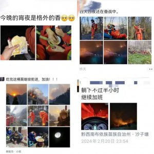 ​山火后，网友暖心相约：一起去贵州看春山