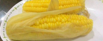 ​煮玉米多长时间能煮熟? 玉米煮多长时间就可以熟