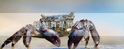 ​螃蟹舞是什么梗