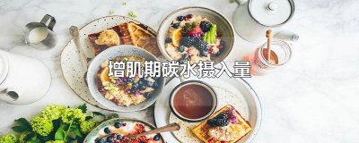 ​增肌期碳水摄入量怎么算 增肌期碳水摄入比例