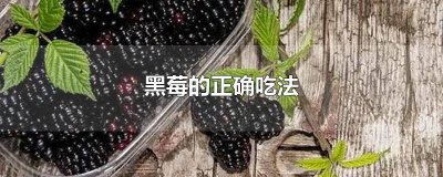 ​吃黑树莓注意事项有哪些 吃黑树莓注意事项是什么