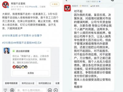 ​熊猫不走倒闭，创始人真的反思了吗？