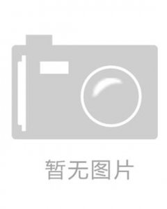 ​杨保宗简介（杨保宗后仇池国武都政权的第三任君主）