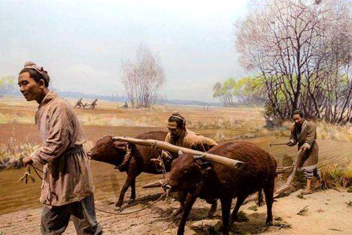 康熙大力发展农业 为何康乾盛世还是出现了粮仓亏空的情况