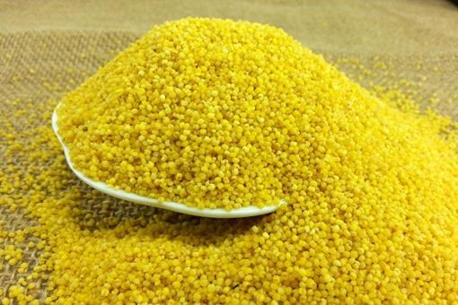 宋朝士兵为何宁愿饿死都不吃小米?