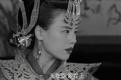 ​宋高宗生母韦太后失节之谜,曾在金国给金人生过孩子?