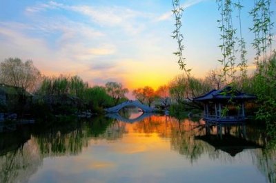 ​传说大明湖的青蛙不会叫?这是怎么回事?