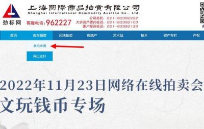 ​上海拍车牌流程2023，2023拍沪牌需要什么条件