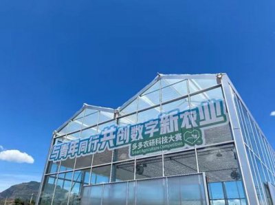 ​2024中国农产品电商发展报告发布，拼多多从人与技术入手培育新质生产力