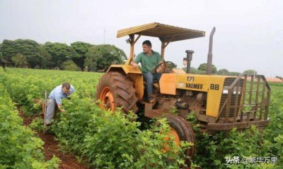 ​巴西属于哪个洲有多少人（巴西的经济发展情况如何）