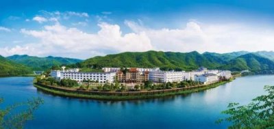 ​迎驾洞8多少钱一瓶42度  迎驾洞8多少钱一箱