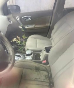 ​“僵尸车”停了7年，副驾驶长草，该如何整治？