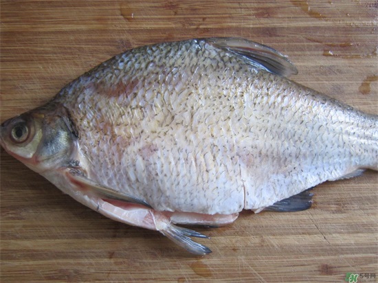 三伏灸可以吃鱼吗?三伏灸可以吃什么鱼? 三伏灸可以吃鱼吗?三伏灸可以吃什么鱼?