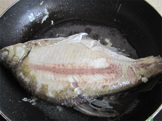 三伏灸可以吃鱼吗?三伏灸可以吃什么鱼? 三伏灸可以吃鱼吗?三伏灸可以吃什么鱼?