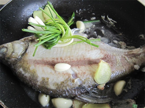 三伏灸可以吃鱼吗?三伏灸可以吃什么鱼? 三伏灸可以吃鱼吗?三伏灸可以吃什么鱼?