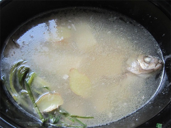 三伏灸可以吃鱼吗?三伏灸可以吃什么鱼? 三伏灸可以吃鱼吗?三伏灸可以吃什么鱼?