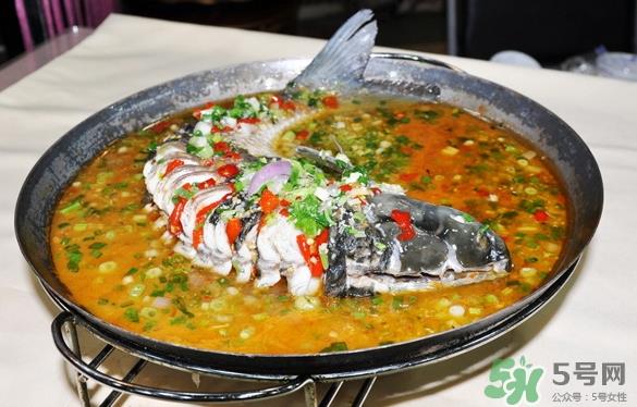 三伏灸可以吃鱼吗?三伏灸可以吃什么鱼? 三伏灸可以吃鱼吗?三伏灸可以吃什么鱼?