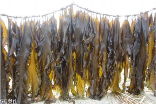 自制昆布水的步骤 昆布水料理做法 自制昆布水的步骤 昆布水料理做法