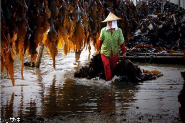 自制昆布水的步骤 昆布水料理做法 自制昆布水的步骤 昆布水料理做法