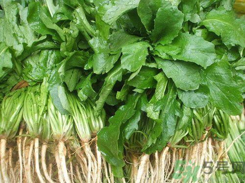 荠菜是发物吗?荠菜是不是发物? 荠菜是发物吗?荠菜是不是发物?