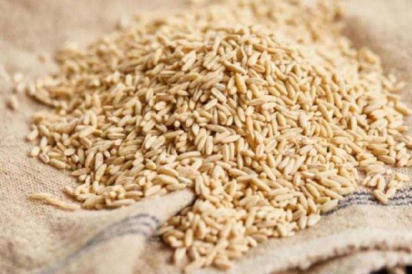 燕麦有机的好还是一般的好 燕麦买什么样的比较好 燕麦有机的好还是一般的好 燕麦买什么样的比较好