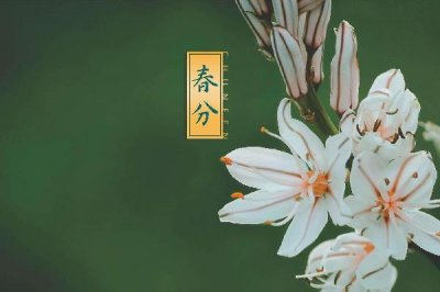 ​春分穿什么衣服合适 春分对人们生活的影响