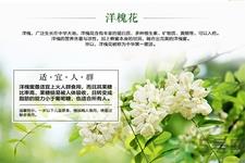 洋槐蜜的鉴别方法是什么?洋槐蜜多少钱一斤? 洋槐蜜的鉴别方法是什么?洋槐蜜多少钱一斤?