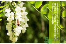 洋槐蜜的鉴别方法是什么?洋槐蜜多少钱一斤? 洋槐蜜的鉴别方法是什么?洋槐蜜多少钱一斤?