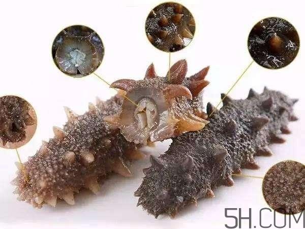 海参哪些部位不能吃？海参的禁忌人群