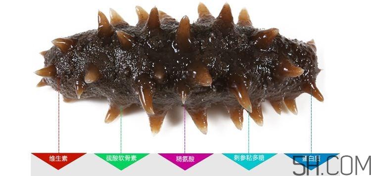 海参哪些部位不能吃？海参的禁忌人群