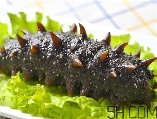 海参哪些部位不能吃？海参的禁忌人群