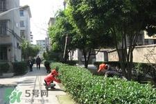 春天养生吃什么菜好?春季养生必吃四种养生菜 春天养生吃什么菜好?春季养生必吃四种养生菜