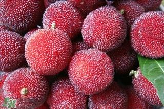 杨梅为什么要用盐水泡,吃杨梅前为什么用盐水泡 杨梅为什么要用盐水泡,吃杨梅前为什么用盐水泡