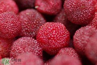 杨梅为什么要用盐水泡,吃杨梅前为什么用盐水泡 杨梅为什么要用盐水泡,吃杨梅前为什么用盐水泡