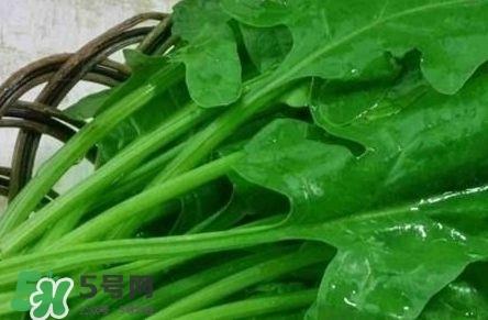 富含叶酸的食物有哪些?富含叶酸的蔬菜水果 富含叶酸的食物有哪些?富含叶酸的蔬菜水果