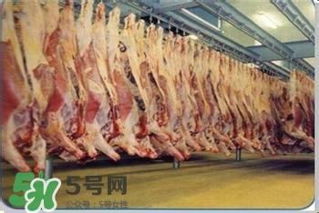 富含叶酸的食物有哪些?富含叶酸的蔬菜水果 富含叶酸的食物有哪些?富含叶酸的蔬菜水果