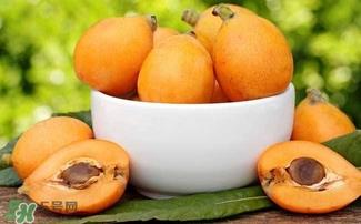 枇杷花怎么煲汤？枇杷花煲汤搭配什么最佳？