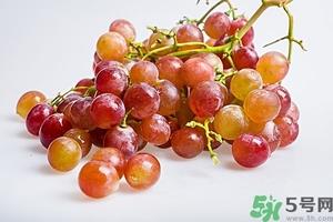 葡萄籽怎么吃效果最好？无籽葡萄对身体有害吗？